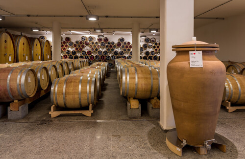 Wine tasting in the heart of Umbria - Roccafiore winery