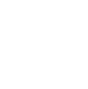 Begreentelligent