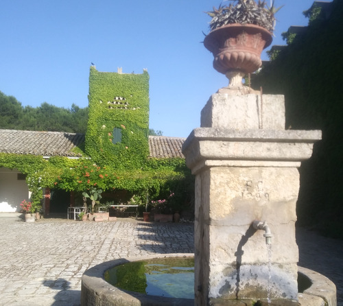 JPG_aziendaresize_65162A87C18DADAC416627668.jpg