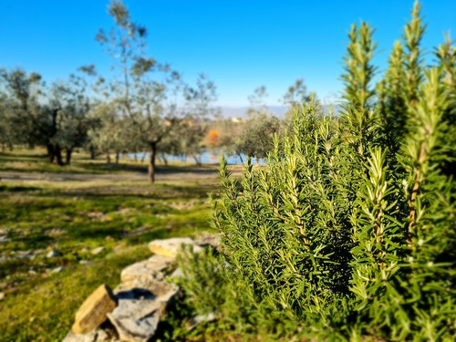 cerchioadx_68361EBAB4A405FD842237388.jpg