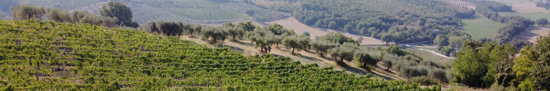 Casali del Toppello