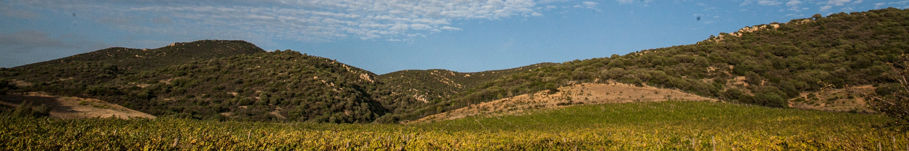 Colline del Vento