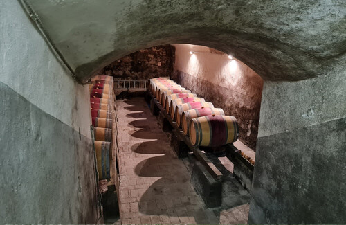 Degustazione vini, dal filare alla cantina - Tenuta di San Donato (Toscana)